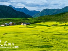 内蒙古自治区巴彦淖尔市乌拉特中旗温更镇1名牧民确诊腺鼠疫